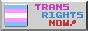 trans rights now! (the trevor project)